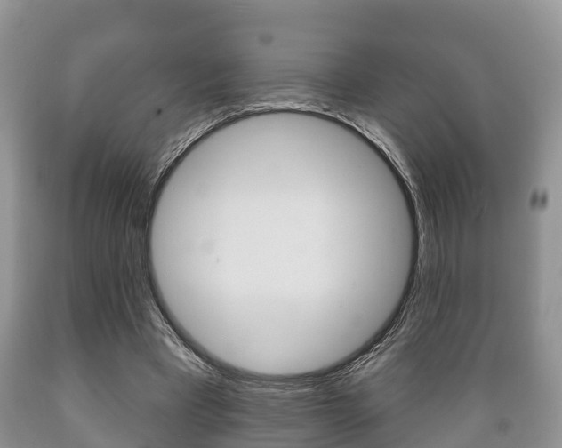 X0000089760393200706210959