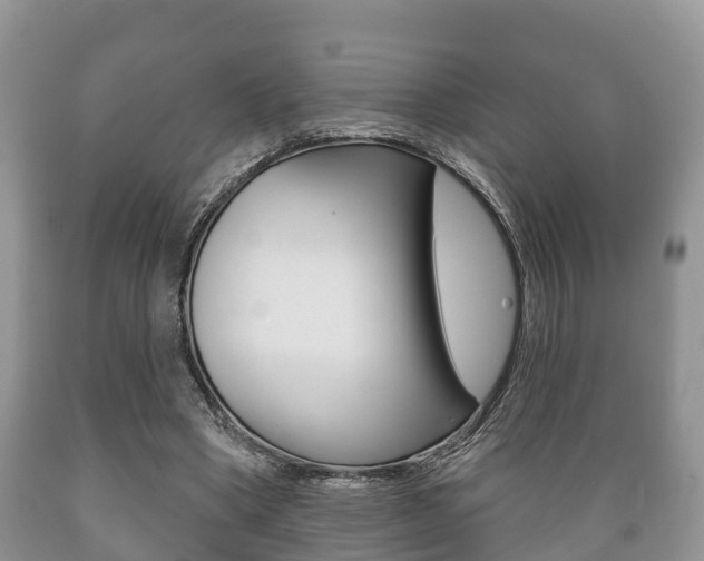 X0000089760394200706210959