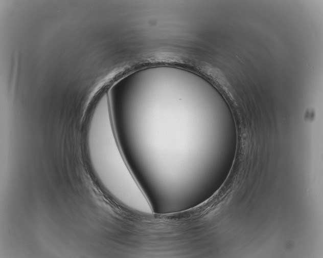 X0000089760395200706210959