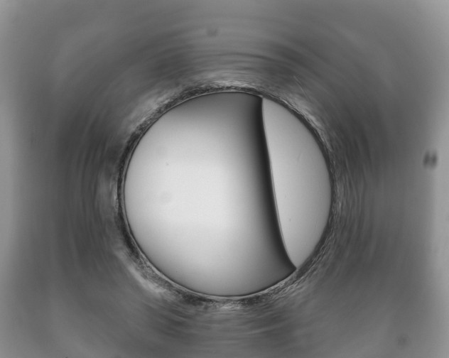 X0000089760398200706210959
