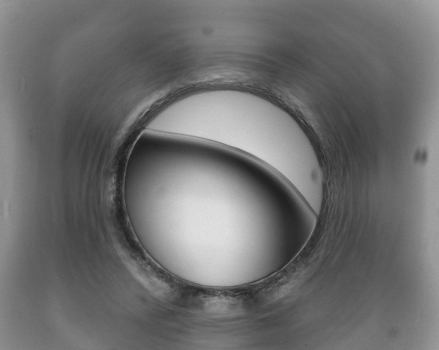 X0000089760400200706210959