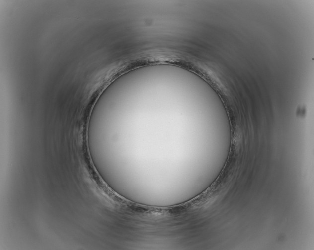 X0000089760402200706210959