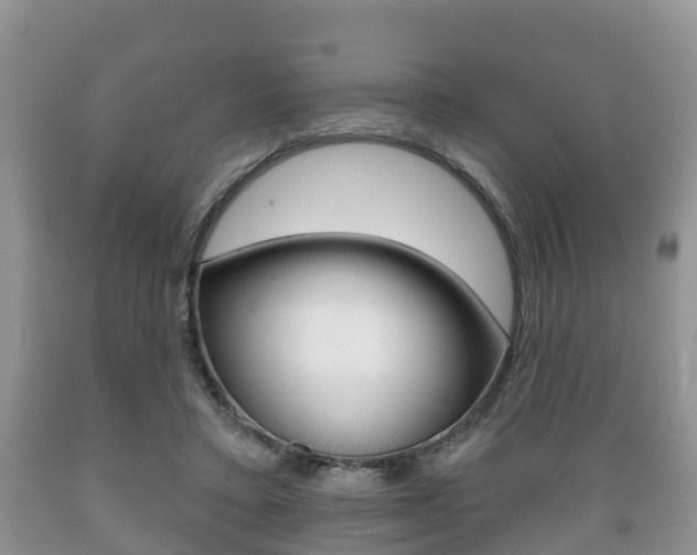X0000089760403200706210959