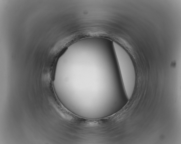 X0000089760405200706210959