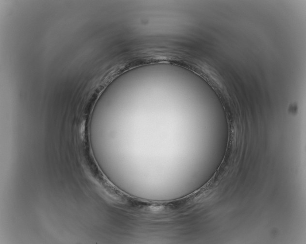 X0000089760406200706210959
