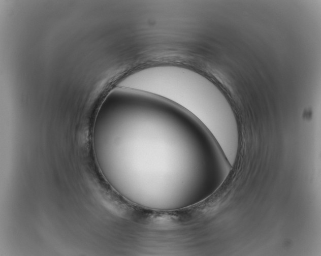 X0000089760407200706210959