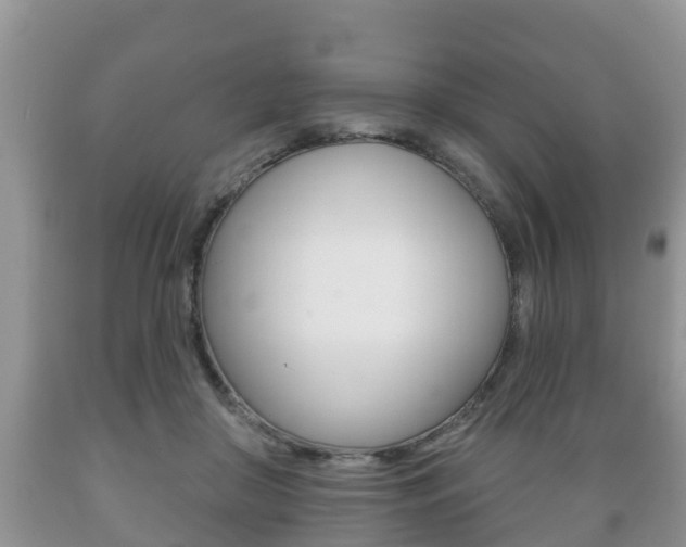 X0000089760410200706210959