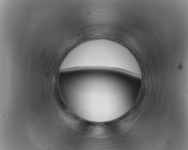 X0000089760412200706210959