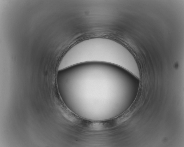 X0000089760413200706210959