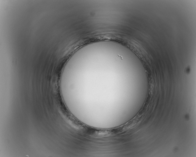 X0000089760414200706210959