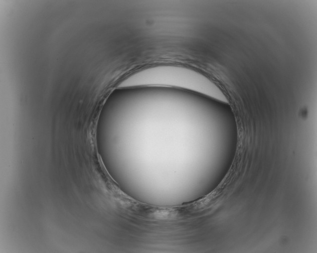 X0000089760415200706210959