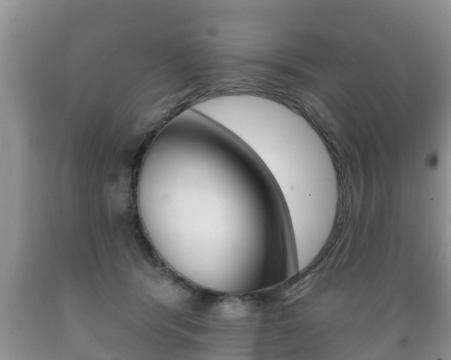 X0000089760416200706210959