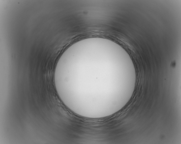 X0000089760417200706210959