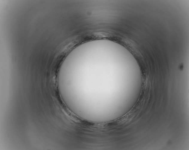 X0000089760418200706210959