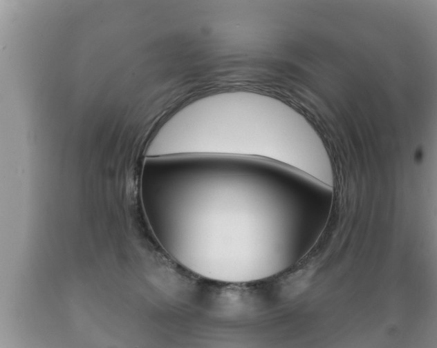 X0000089760420200706210959