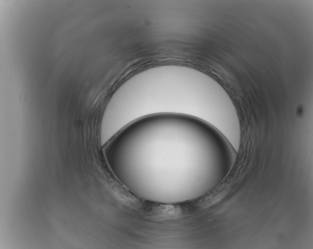 X0000089760421200706210959