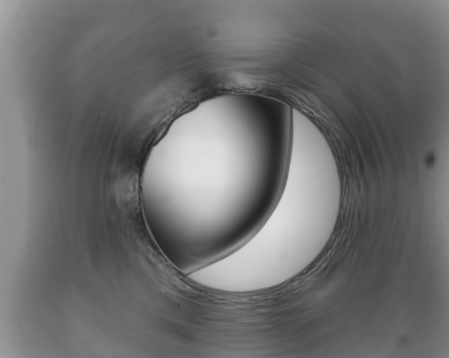X0000089760425200706210959