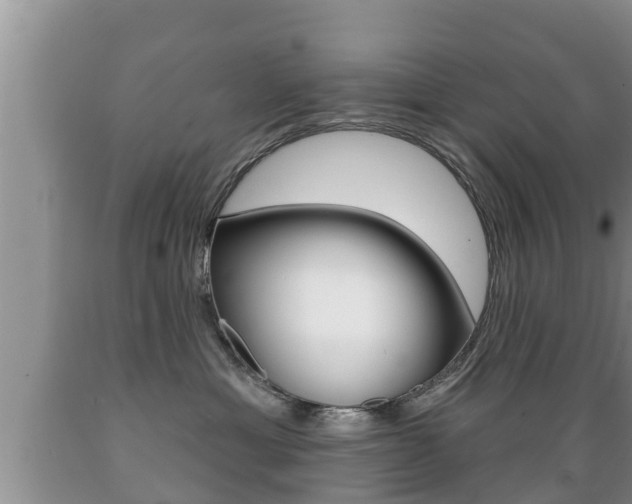 X0000089760429200706210958