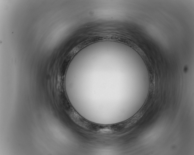 X0000089760430200706210958