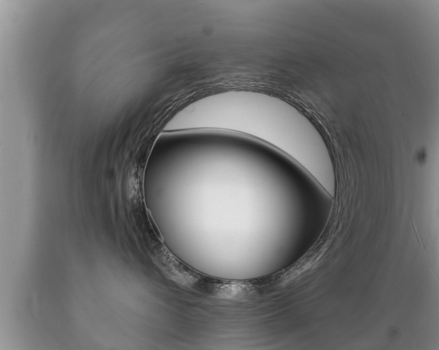 X0000089760432200706210958