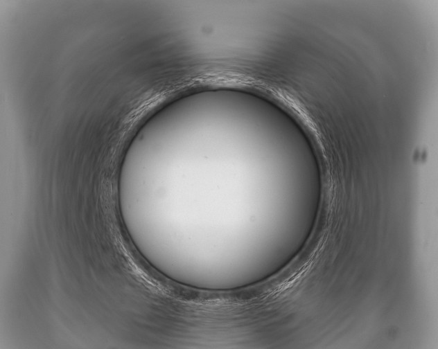 X0000089760433200706210958