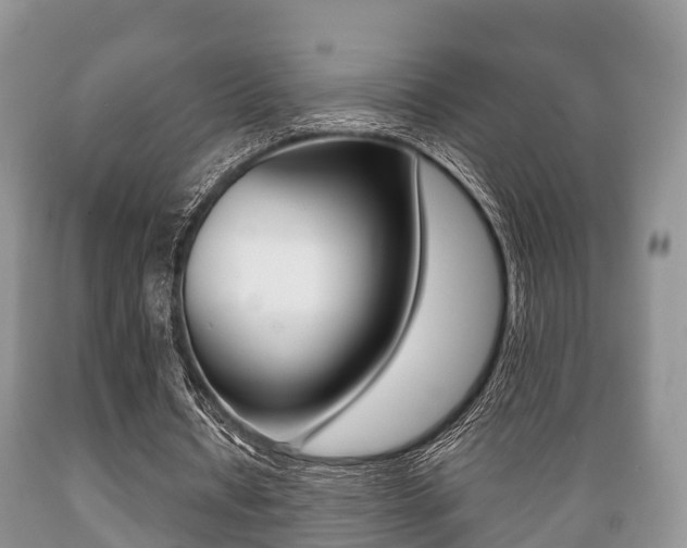 X0000089760434200706210958