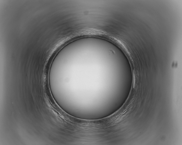 X0000089760435200706210958