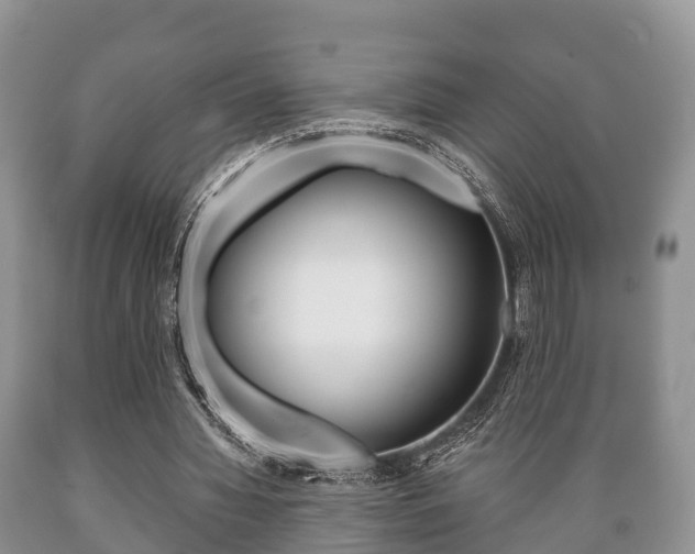 X0000089760436200706210958