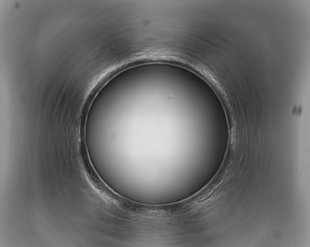 X0000089760438200706210958