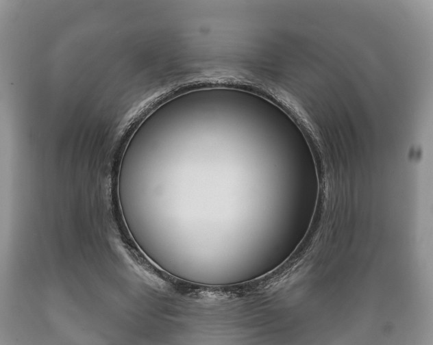 X0000089760442200706210958