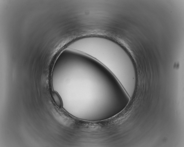X0000089760443200706210958