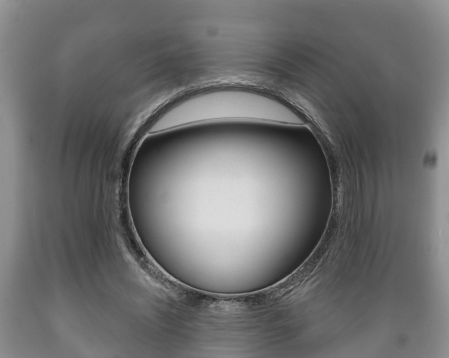 X0000089760444200706210958
