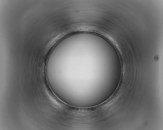X0000089760445200706210958