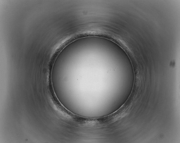 X0000089760446200706210958