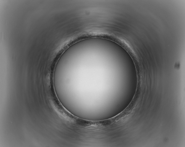 X0000089760447200706210958