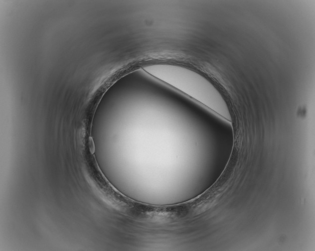X0000089760448200706210958