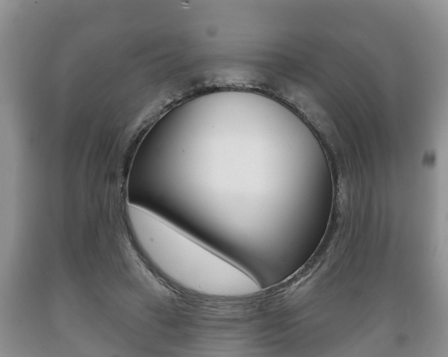 X0000089760449200706210958