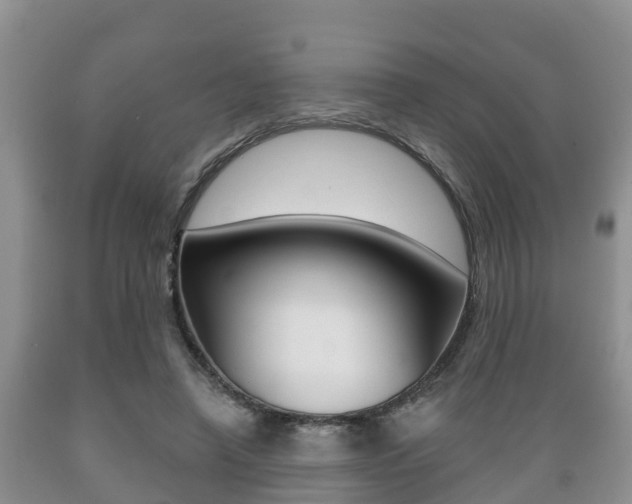 X0000089760450200706210958