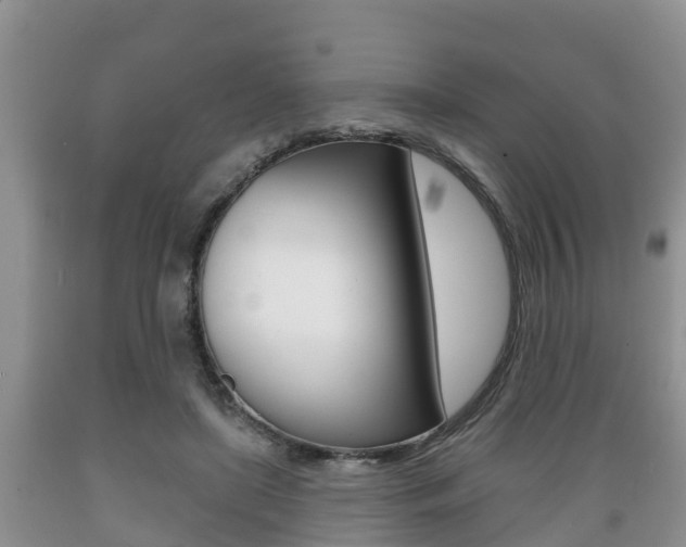 X0000089760451200706210958