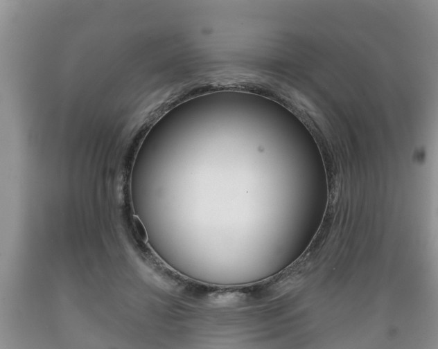 X0000089760452200706210958