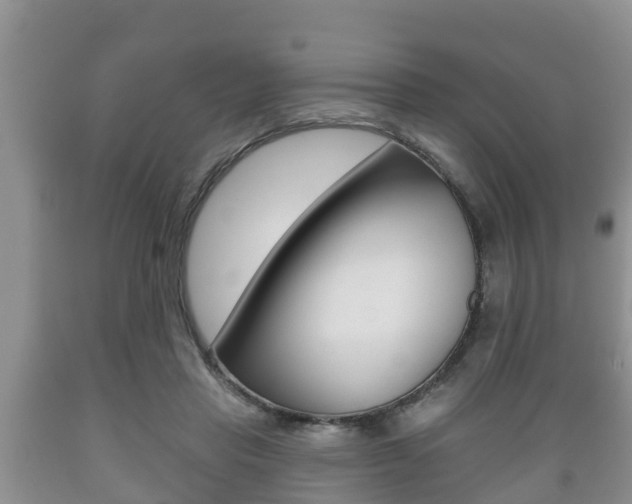 X0000089760453200706210958