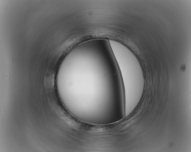 X0000089760454200706210958