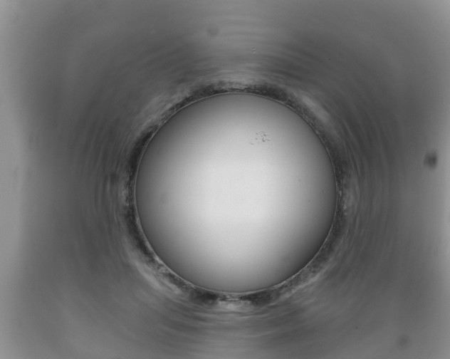 X0000089760455200706210958