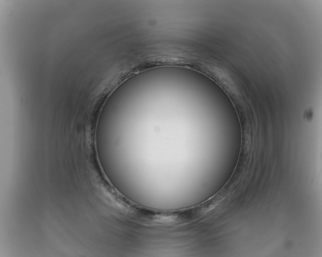 X0000089760457200706210958