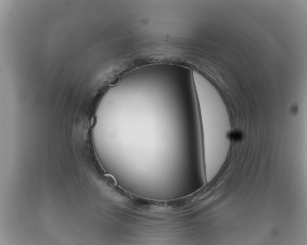 X0000089760458200706210958
