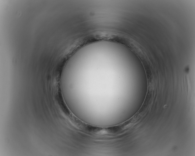 X0000089760460200706210958