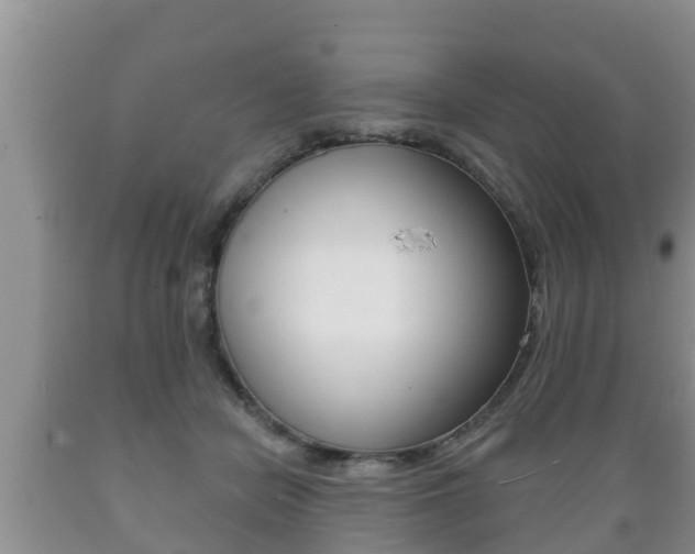 X0000089760462200706210958