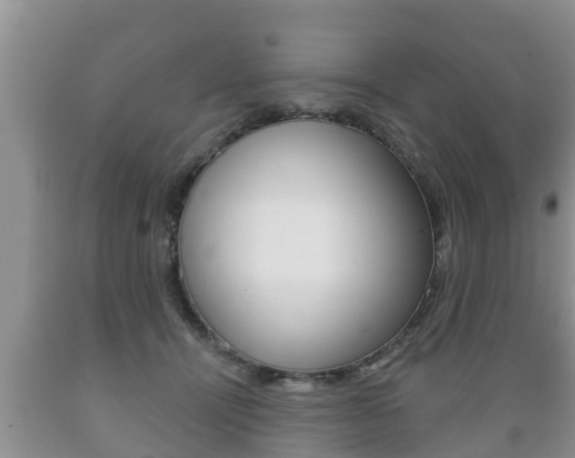 X0000089760464200706210958