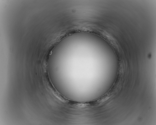 X0000089760465200706210958