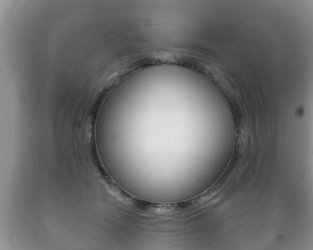 X0000089760466200706210958